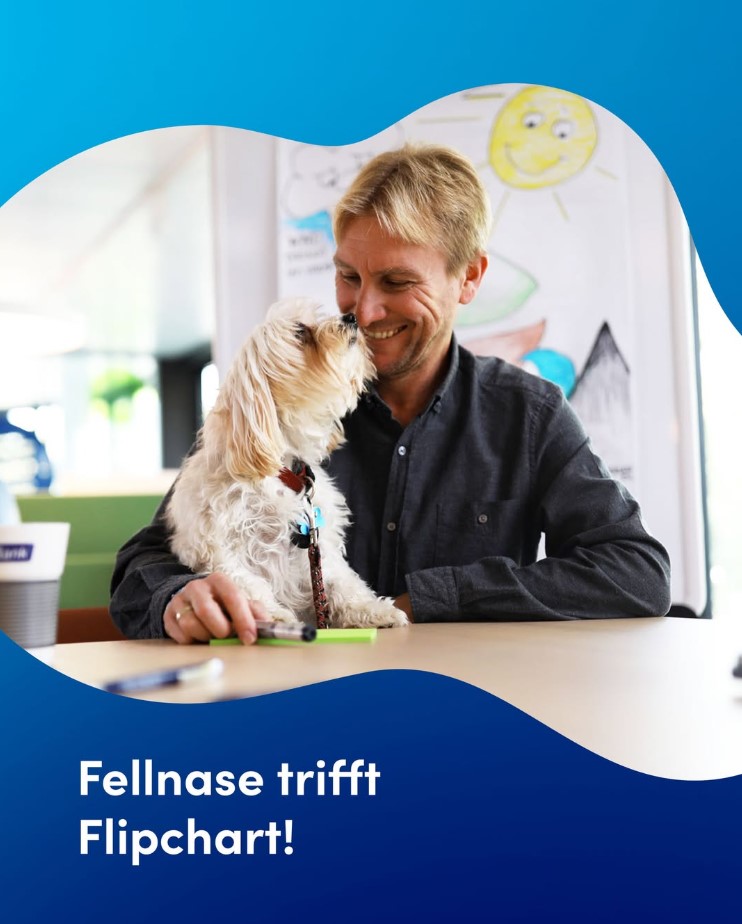 Mann mit Hund auf dem Schoß im Büro.